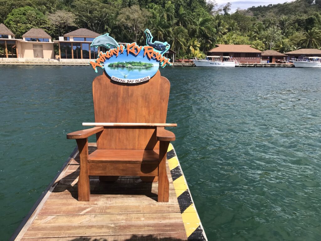 Anthony's Key Resort Chair